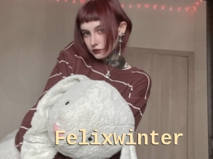 Felixwinter