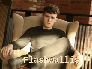 Flashwallis