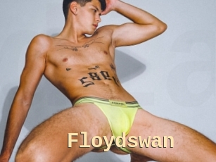 Floydswan