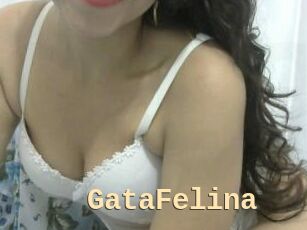 GataFelina