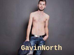 GavinNorth