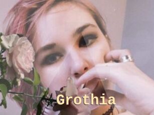 Grothia