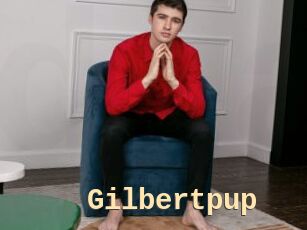 Gilbertpup