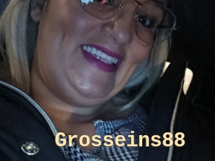 Grosseins88