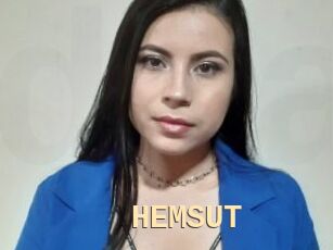 HEMSUT