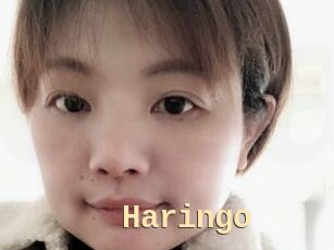 Haringo