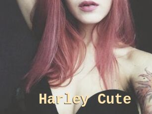 Harley_Cute