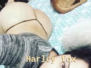 Harley_fox