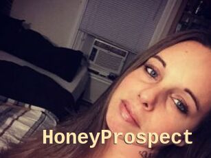 HoneyProspect