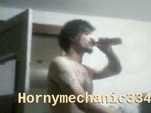 Hornymechanic334