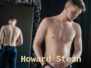 Howard_Stein