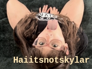 Haiitsnotskylar