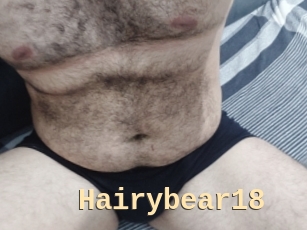 Hairybear18