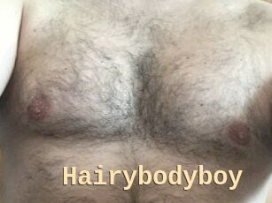 Hairybodyboy