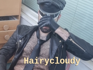 Hairycloudy