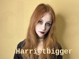 Harrietbigger