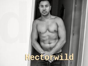 Hectorwild