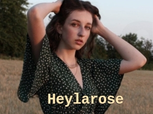 Heylarose