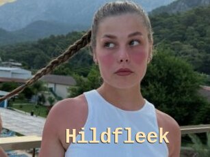 Hildfleek