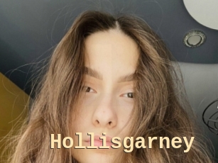 Hollisgarney