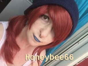 Honeybee66