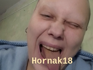 Hornak18