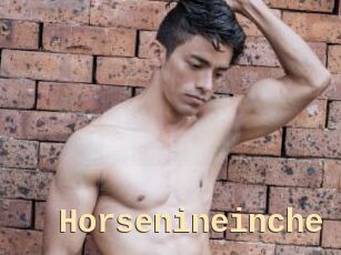 Horsenineinche