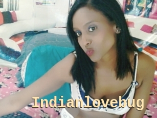 Indianlovebug