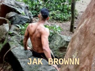 JAK_BROWNN