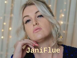 JaniFlue