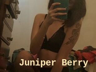 Juniper_Berry