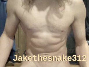 Jakethesnake312