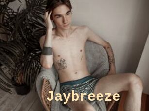 Jaybreeze