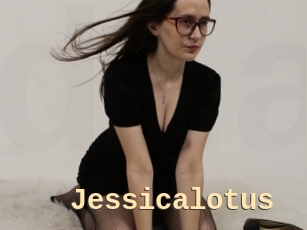 Jessicalotus