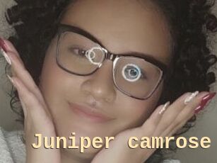 Juniper_camrose