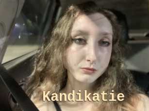 Kandikatie