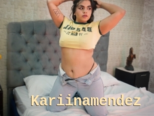 Kariinamendez