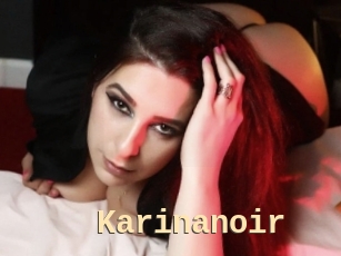 Karinanoir