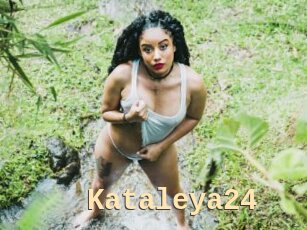 Kataleya24