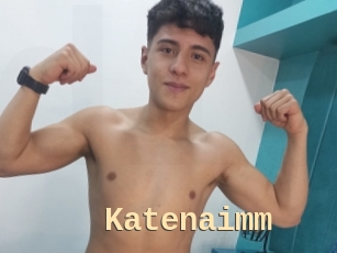 Katenaimm