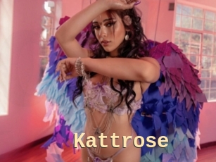 Kattrose