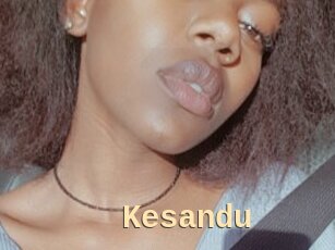 Kesandu