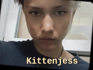 Kittenjess