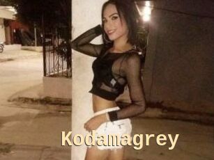 Kodamagrey