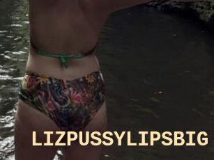 LIZPUSSYLIPSBIG