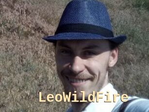 LeoWildFire