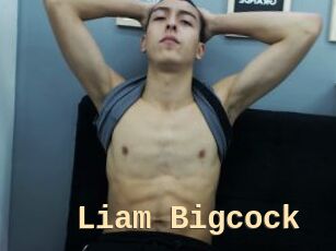 Liam_Bigcock