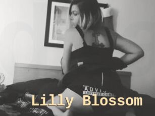 Lilly_Blossom