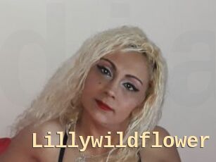 Lillywildflower