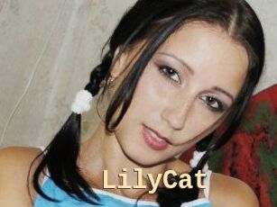 Lily_Cat_